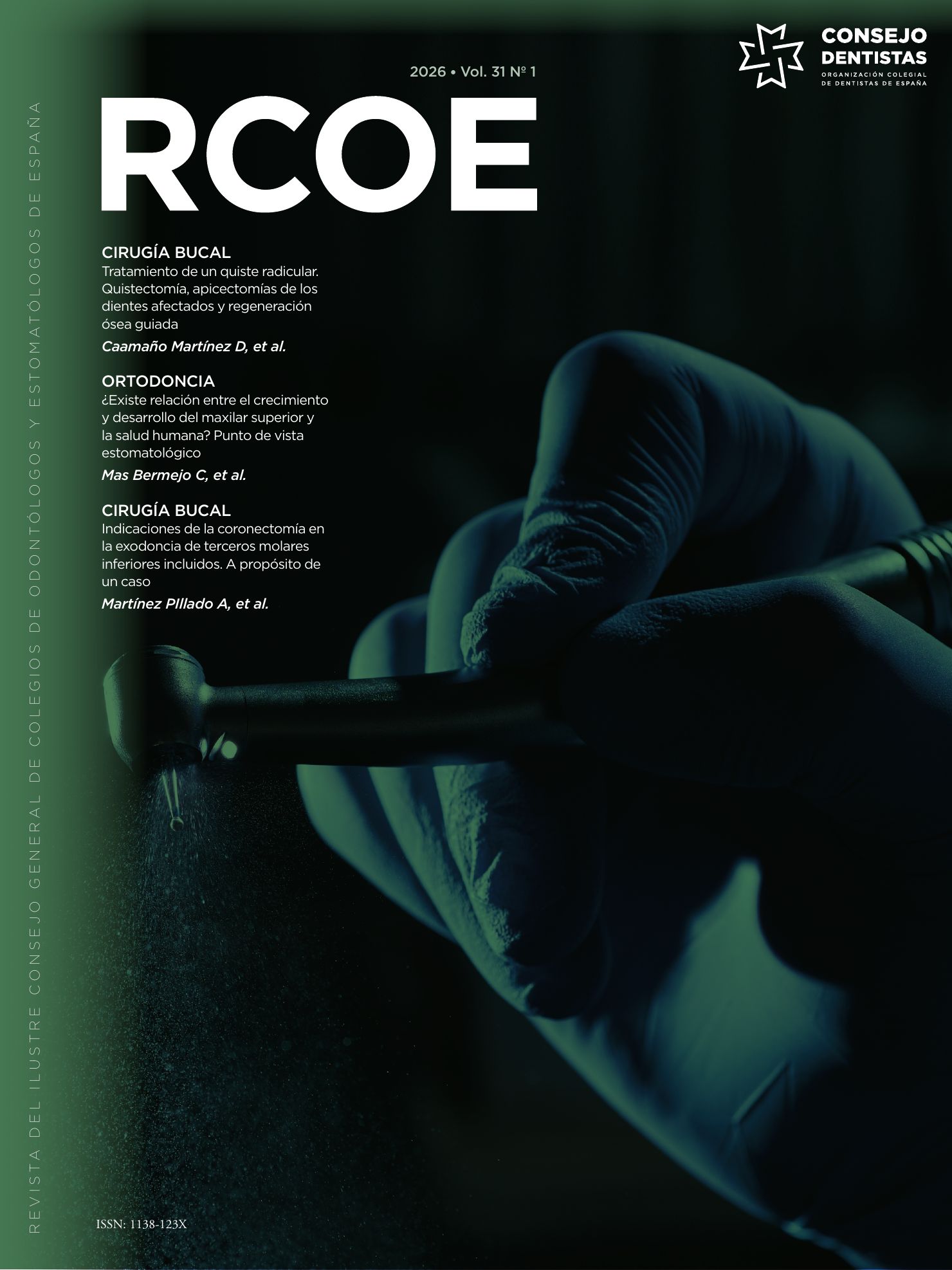 2026 Vol. 31 Nº1