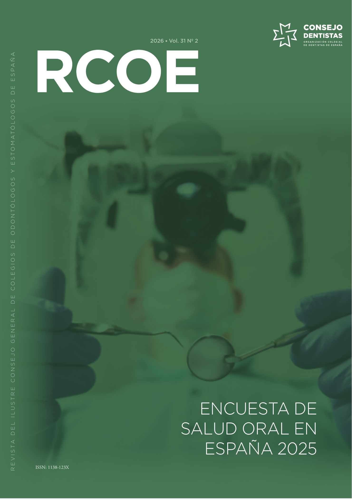 2026 Vol. 31 Nº2